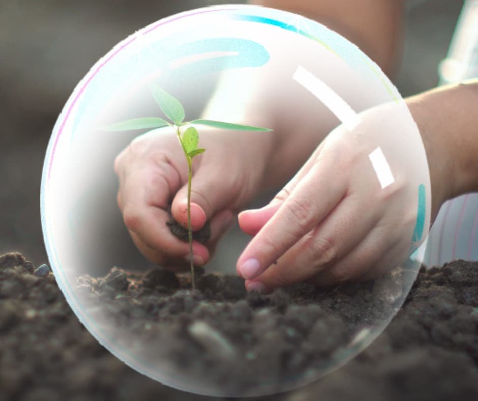 Mãos plantando uma pequena muda, simbolizando crescimento por meio de pequenas ações.