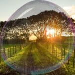 Sol nascendo sobre um campo aberto, iluminando um caminho que segue em direção ao horizonte, simbolizando esperança e novos começos.